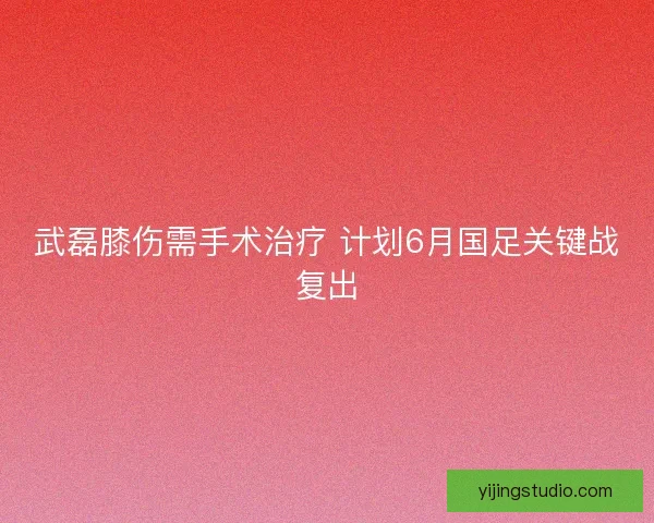 武磊膝伤需手术治疗 计划6月国足关键战复出 武磊膝伤需手术治疗 计划6月国足关键战复出
