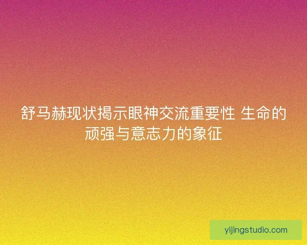 舒马赫现状揭示眼神交流重要性 生命的顽强与意志力的象征