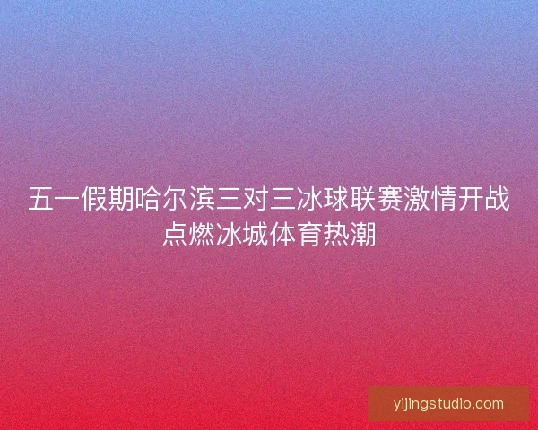 五一假期哈尔滨三对三冰球联赛激情开战点燃冰城体育热潮 五一假期哈尔滨三对三冰球联赛激情开战点燃冰城体育热潮